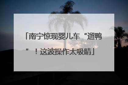南宁惊现婴儿车“遛鸭”！这波操作太吸睛