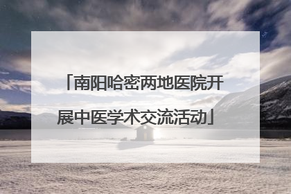 南阳哈密两地医院开展中医学术交流活动