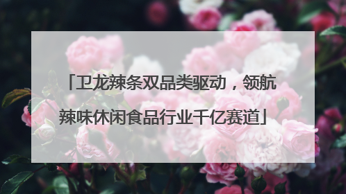 卫龙辣条双品类驱动，领航辣味休闲食品行业千亿赛道