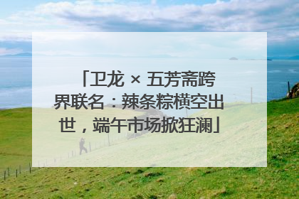 卫龙 × 五芳斋跨界联名：辣条粽横空出世，端午市场掀狂澜