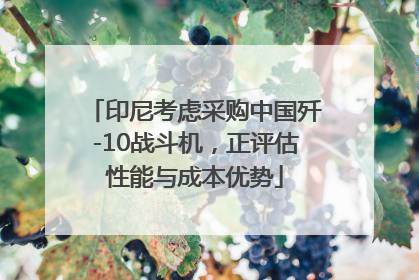 印尼考虑采购中国歼-10战斗机，正评估性能与成本优势
