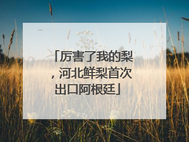 厉害了我的梨，河北鲜梨首次出口阿根廷