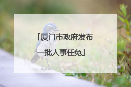 厦门市政府发布一批人事任免