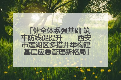 健全体系强基础 筑牢防线促提升——西安市莲湖区多措并举构建基层应急管理新格局