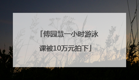 傅园慧一小时游泳课被10万元拍下
