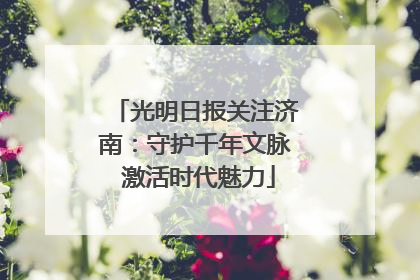 光明日报关注济南：守护千年文脉 激活时代魅力