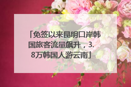 免签以来昆明口岸韩国旅客流量飙升，3.8万韩国人游云南