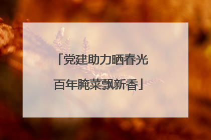 党建助力晒春光 百年腌菜飘新香