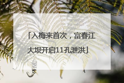 入梅来首次，富春江大坝开启11孔泄洪