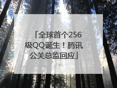 全球首个256级QQ诞生！腾讯公关总监回应