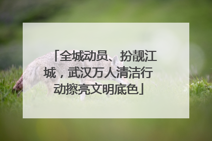 全城动员、扮靓江城，武汉万人清洁行动擦亮文明底色