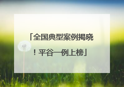 全国典型案例揭晓！平谷一例上榜