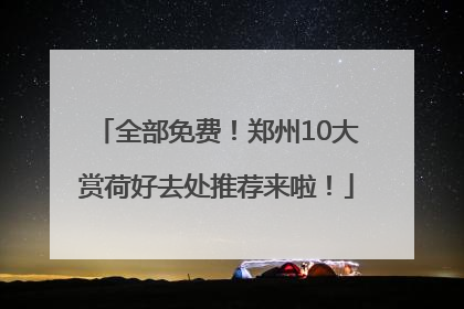 全部免费！郑州10大赏荷好去处推荐来啦！