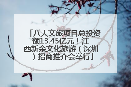 八大文旅项目总投资额13.45亿元！江西新余文化旅游（深圳）招商推介会举行
