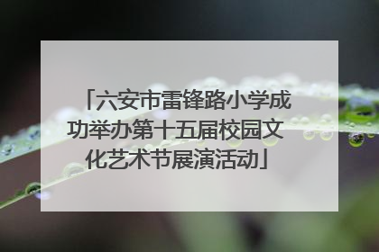 六安市雷锋路小学成功举办第十五届校园文化艺术节展演活动