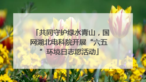 共同守护绿水青山，国网湖北电科院开展“六五”环境日志愿活动