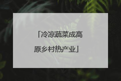 冷凉蔬菜成高原乡村热产业