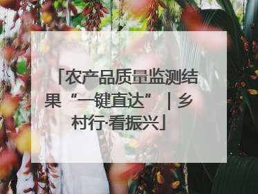农产品质量监测结果“一键直达”｜乡村行·看振兴
