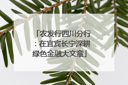 农发行四川分行：在宜宾长宁深耕绿色金融大文章