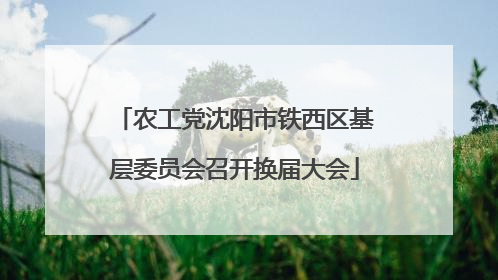 农工党沈阳市铁西区基层委员会召开换届大会