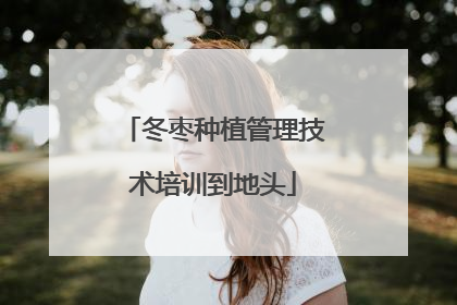 冬枣种植管理技术培训到地头