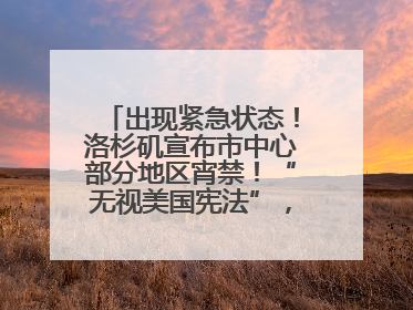 出现紧急状态！洛杉矶宣布市中心部分地区宵禁！“无视美国宪法”，美民主党议员批评特朗普