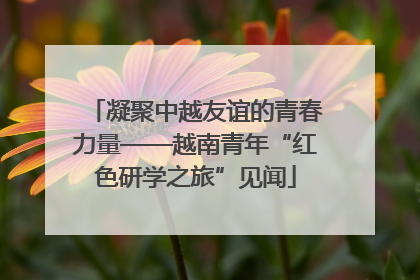 凝聚中越友谊的青春力量——越南青年“红色研学之旅”见闻