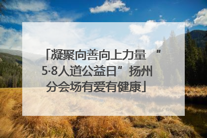 凝聚向善向上力量 “5·8人道公益日”扬州分会场有爱有健康