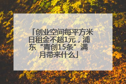 创业空间每平方米日租金不超1元，浦东“青创15条”满月带来什么