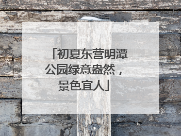 初夏东营明潭公园绿意盎然，景色宜人