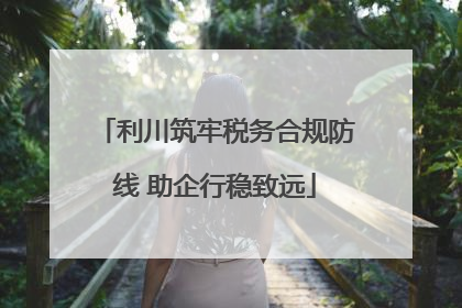 利川筑牢税务合规防线 助企行稳致远