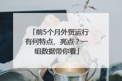 前5个月外贸运行有何特点、亮点？一组数据带你看
