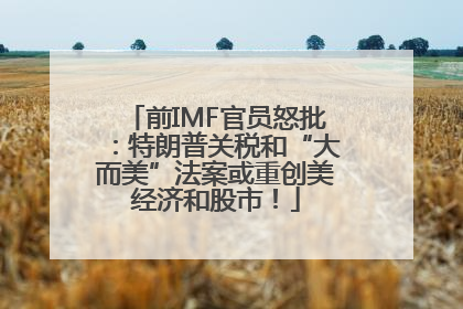 前IMF官员怒批：特朗普关税和“大而美”法案或重创美经济和股市！