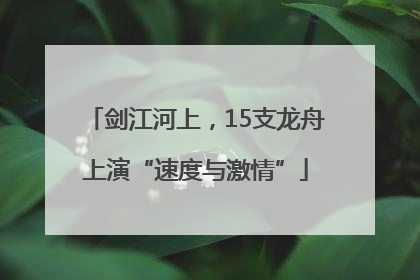 剑江河上，15支龙舟上演“速度与激情”