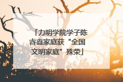 力明学院学子陈睿鑫家庭获“全国文明家庭”殊荣