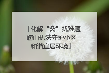 化解“禽”扰难题 崂山执法守护小区和谐宜居环境