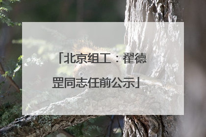 北京组工：翟德罡同志任前公示