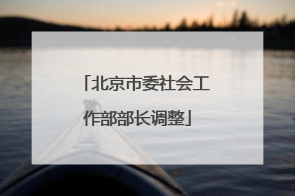 北京市委社会工作部部长调整