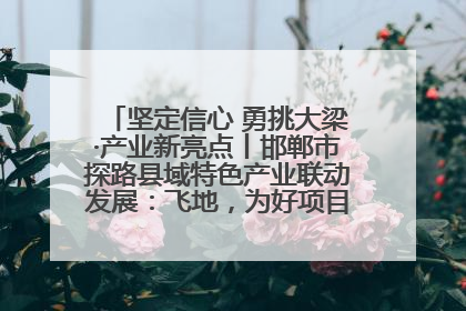 坚定信心 勇挑大梁·产业新亮点丨邯郸市探路县域特色产业联动发展：飞地，为好项目跨域安个家