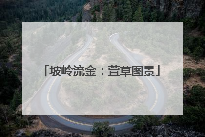 坡岭流金：萱草图景