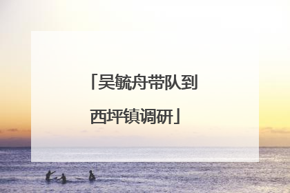 吴毓舟带队到西坪镇调研