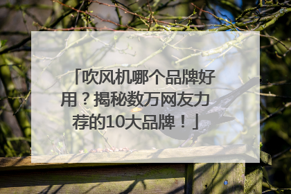 吹风机哪个品牌好用？揭秘数万网友力荐的10大品牌！