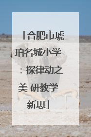 合肥市琥珀名城小学：探律动之美 研教学新思