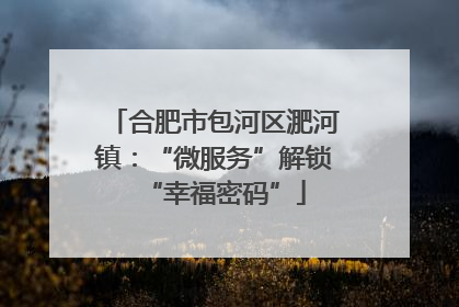 合肥市包河区淝河镇：“微服务”解锁“幸福密码”