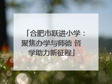 合肥市跃进小学：聚焦办学与师德 督学助力新征程