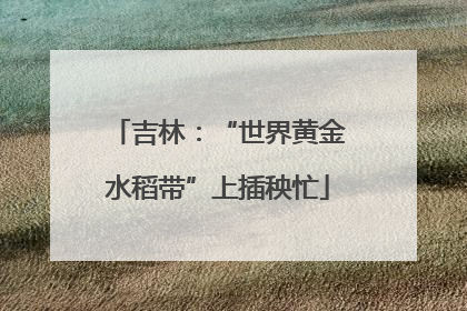 吉林：“世界黄金水稻带”上插秧忙