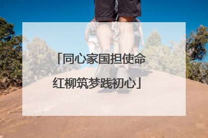 同心家国担使命 红柳筑梦践初心