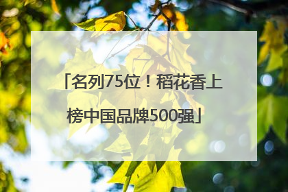 名列75位！稻花香上榜中国品牌500强
