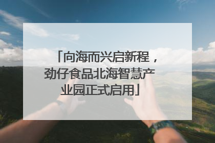 向海而兴启新程，劲仔食品北海智慧产业园正式启用