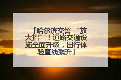 哈尔滨交警 “放大招”！道路交通设施全面升级，出行体验直线飙升